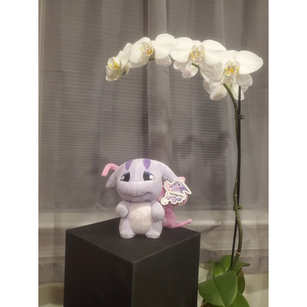 NWT Faerie Poogle Plushie Neopets